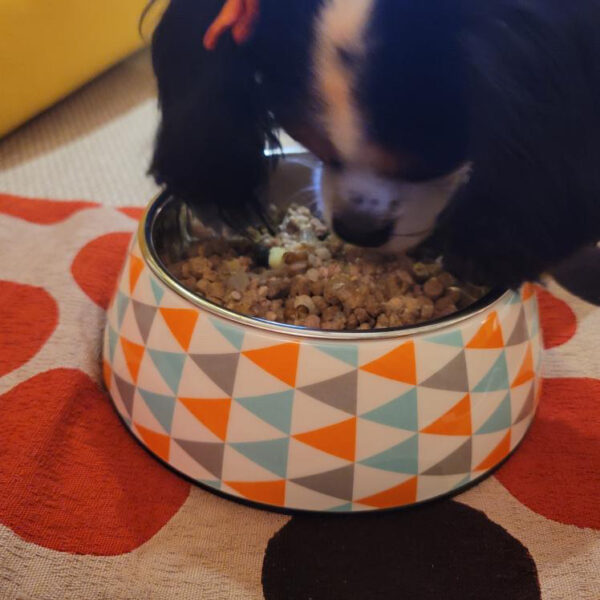 まずはこちらを読んでみて♪