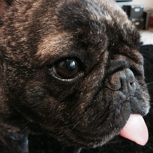 マンマミーアが出来るまで１